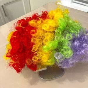 Clown Hair Costume (Adult)